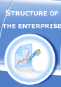 Structure of the enterprise